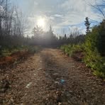 Jacob Willey - Facebook