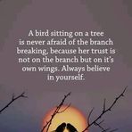 Jacob Wilton - Facebook