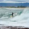 jacob wilton - @eating_reef_sand - TikTok