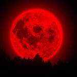 Jacob Windham - @thedarkfather616 - Instagram