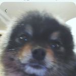 Jacob Wingert - @nax_922 - Instagram
