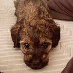 Jacob Winkle - @jacob_winkle96 - Instagram