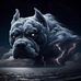 Jacob Wolf - Facebook