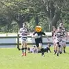 jacobwolfson_ - @jacobwolfson_ - TikTok