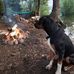 Jacob T-woll - Facebook