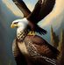 Jacob Wall - Facebook