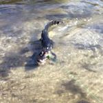 Jacob Woodruff - @jacobwoodruff65 - Instagram