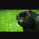 Jacob Zerr - @jacobz52 - Instagram