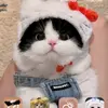 Natalia Jacobo Arguello - @natalia.jacobo.ar - TikTok