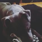 Jacoby Moore - @curly_head_coby - Instagram