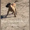 Jacoby Robinson - @jacoby.robinson29 - TikTok