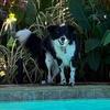 Jacque Cooper - @jacque_cooper9347 - TikTok