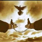 jean Jacques Laruelle - @jeanjacqueslaruelle06 - Instagram