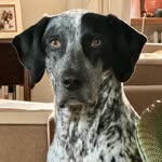 Lorang Jacques - @lorangjacques - Instagram