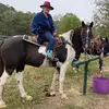 Jacque Marling - @jacque.marling - TikTok