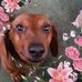 Jacque Marshall - Facebook