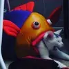 Jacque Marshall - @jacque.the.shark - TikTok