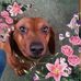 Jacque Marshall - Facebook
