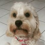 Jacque Mason - @jac.mason.5 - Instagram
