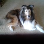 Jacque McBride - Facebook