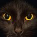 Jacque McDaniel - Facebook