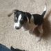 Jacque Mitchell - Facebook