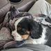 Jacque Morgan - Facebook