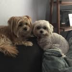 Jacque Morris - @jacque.morris.524 - Instagram