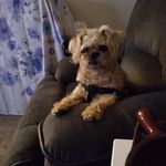 Jacque Murphy - @jackiemurphy465 - Instagram