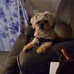 Jacque Murphy - Facebook