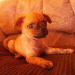 jacque myatt - @2tortiasmom - Instagram