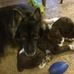 Jacque Wombles Penstone - Facebook