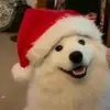 ツ - @ryan.jacquess - TikTok