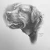RyanJacque-pencil - @ryanjacquepencil - TikTok