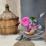 Jacques Horte - @jacqueshorte - Instagram