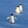 Jacqueline Tanner - @jacqueline.tanner - TikTok