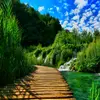 thomas_jacque - @thomas_jacque - TikTok