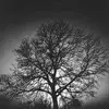 Jacque Walker - @jacque.walker8 - TikTok