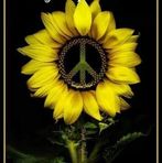 Jacque Walker - Facebook