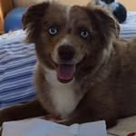 Jacque Walker Dolan - @jacquedolan - Instagram