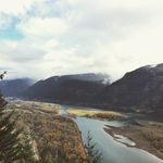 Jacque Warren - @moneypeony - Instagram