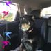 Jacque Williams - Facebook