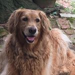 Jacque Wright Matlock - @ljwmatlock - Instagram