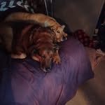 Jacque Wyatt - @jacquewyatt - Instagram