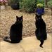 Jacqui Addison - Facebook