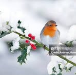 Jacqueline Albert - Facebook