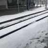 jacquelinealbert3 - @jacquelinealbert3 - TikTok