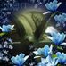 Jacqueline Ashlock - Facebook