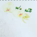 Jacqueline Bachmann - @jacki_bachmann - Instagram