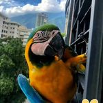 Jacqueline Baez - @jacquel42 - Instagram